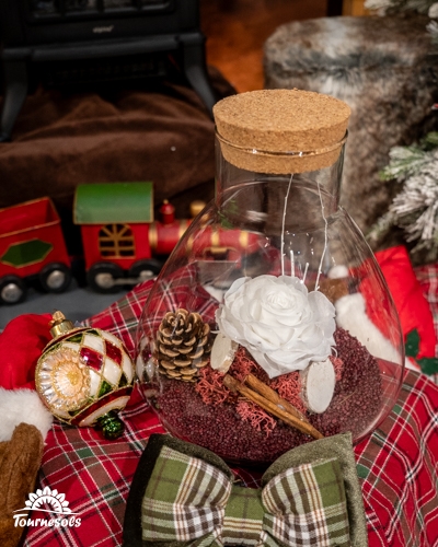 Rose blanche sous cloche en verre avec décoration festive.